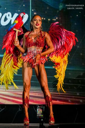 FIT-ANGELS 2 раунд